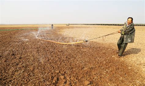 保靖县：6个农业抗旱救灾指导服务小组助力农作物缓解旱情 - 湘西 - 新湖南