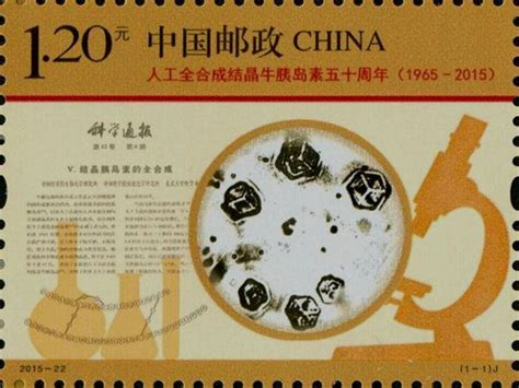 首次人工全合成牛胰岛素（新中国的“第一”）-新闻中心-温州网