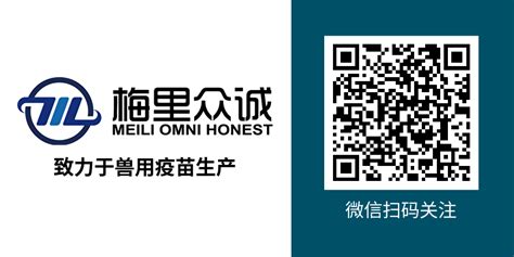 何李 - 固守至诚科技集团有限公司 - 法定代表人/高管/股东 - 爱企查