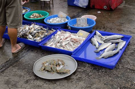 市场上的冰上鲜鱼接近市场高清图片下载-正版图片506243012-摄图网