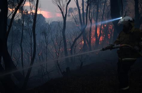 澳大利亚森林大火肆虐不止_凤凰网