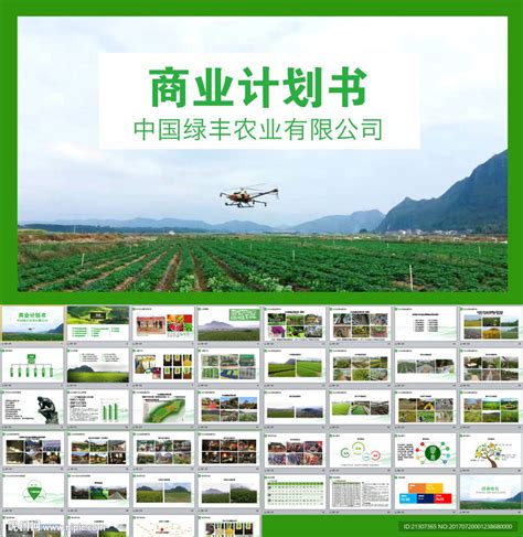 农业项目计划书项目汇报PPT广告设计素材海报模板免费下载-享设计