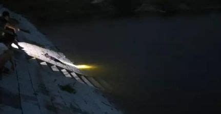 江苏盐城两女孩玩耍时滑入湖中 4名游客施救(含视频)_手机新浪网