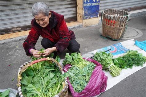 老人在菜市场捡菜回家吃 为生存也为不拖累孩子-北京时间