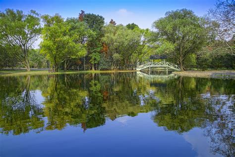 2020年4月杭州西溪湿地免费开放，小伙伴们赶紧了