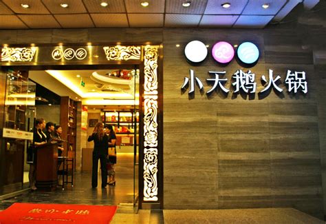 重庆小天鹅餐饮logo设计图片素材_东道品牌创意设计