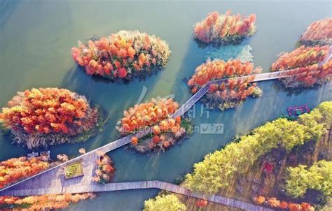 安徽亳州：陵西湖公园秋色斑斓-人民图片网
