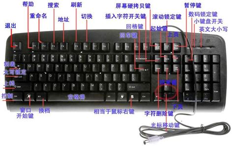 计算机的键盘基础知识(电脑初级入门课程自学) - 科猫网