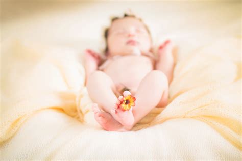 可爱的新出生婴儿创意照高清图片下载-正版图片307871442-摄图网