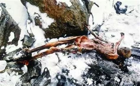 世界上保存最完整的木乃伊冰人奥茨，尸体5300年不腐_小狼观天下