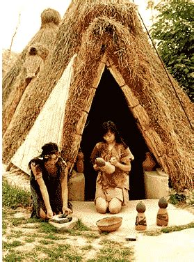 初中历史知识点：氏族社会 - 人类文明的开端 - 阳光小屋