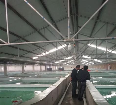 水产住进“别墅”！文昌冯家湾现代化渔业产业园将打造“水产种业硅谷”-文昌新闻网-南海网