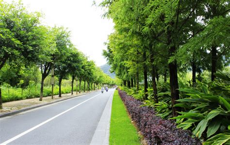 稳步推进“创森”工作 凸显绿色生态基调 连云港5年完成绿化造林86.4万亩_荔枝网新闻