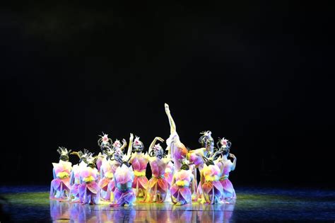 我校舞蹈作品《玉树芝兰》在2017年北京市大学生舞蹈节比赛中 ...