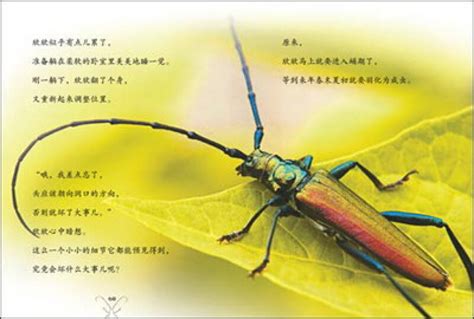 《昆虫记》精彩片段和赏析-昆虫记精彩片段摘抄及赏析