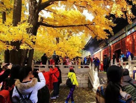 北京怀柔团建：探寻不一样的怀柔风景，见证秋天的魅力-有山团建
