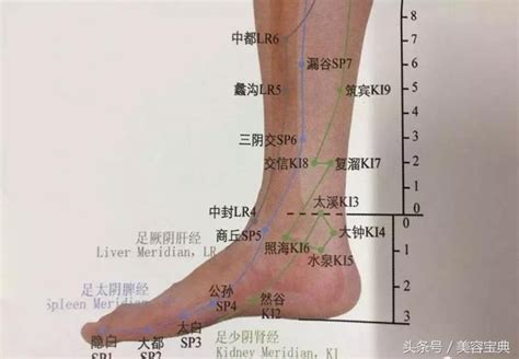 脚踝是哪个部位图解 脚的各个部位详细图_脚目是哪个部位图解 - 女人资料网