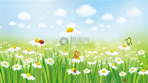 春暖花开gif动图图片-正版gif素材401004653-摄图网