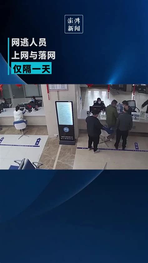 中国警察网：平阳民警在路上偶遇网逃人员一眼认出并成功擒获