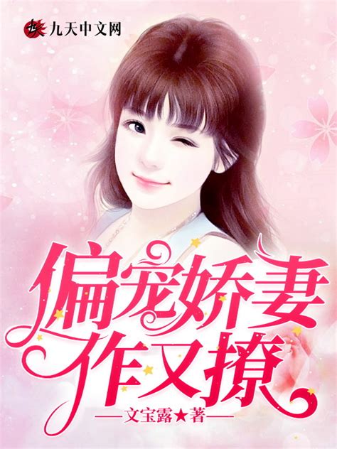 《偏宠娇妻作又撩》小说在线阅读-起点中文网