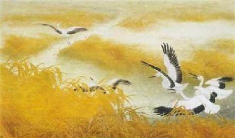 自然影像中国丨鹤归来兮，准备好出发去拍摄这些自然之灵了吗？_www.isenlin.cn