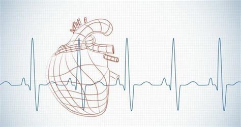请问心率测量多少算正常值？血压心率正常值「分享」 - 综合百科 - 绿润百科