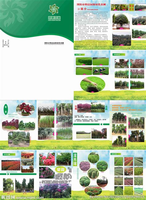 320种常用绿化苗木汇总表南方北方常用植物CAD苗木表附相应植物图片[原创]