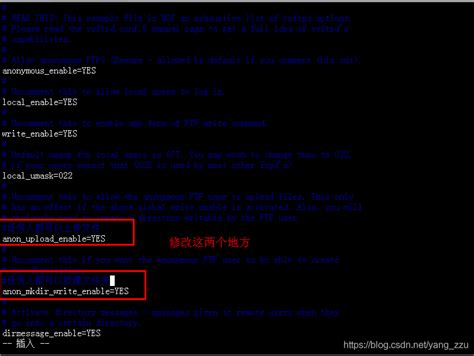 如何查看linux上的ftp服务器配置,ftp服务器配置:如何在Linux上搭建FTP服务器？-CSDN博客