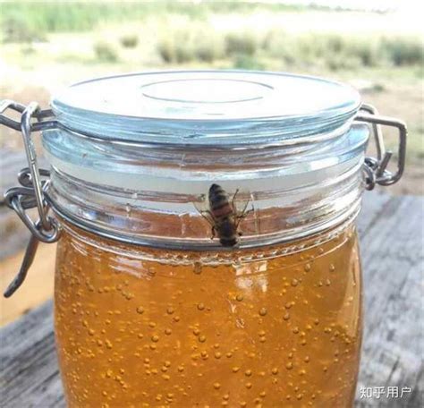 最好的蜂蜜是什么蜜？主要取决于成熟度，自然成熟蜜都算好蜂蜜！