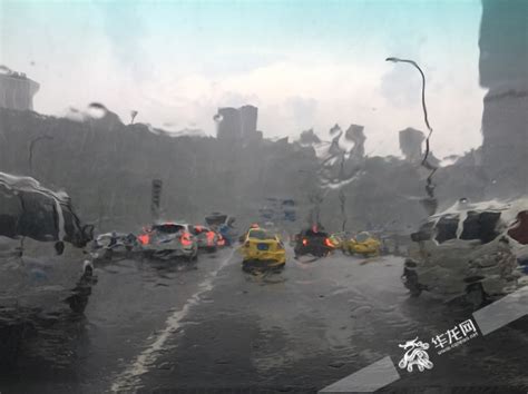太凶猛！东莞今天刮起10级狂风暴雨！树木倒塌、很多车辆被砸…