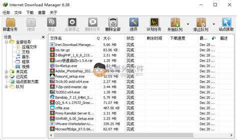 Internet Download Manager v6.41.22 绿色特别版v3(IDM下载器)_锅盖头软件