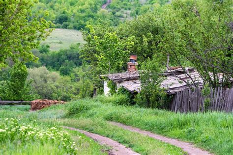 真实的俄罗斯村庄，基本上都是女人，男人都不喜欢在农村生活！|俄罗斯|农村|村庄_新浪新闻