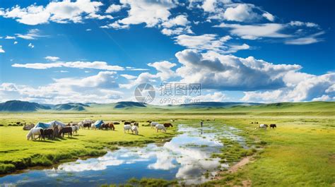 中国最美的高原湿地，广袤无垠，水草丰茂，你知道是哪吗？|青藏高原|若尔盖|草原_新浪新闻