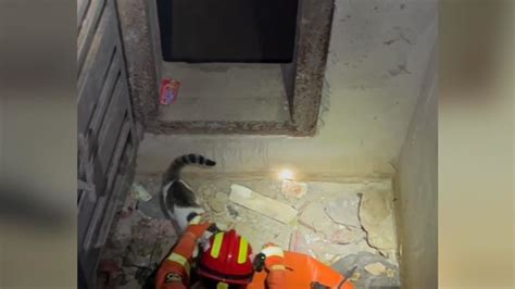 女子为救猫咪被困5米深坑，消防紧急救援_凤凰网视频_凤凰网