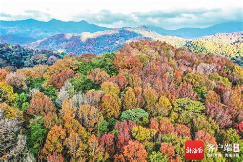 海南五指山发布7条赏红叶旅游路线-经济视野网
