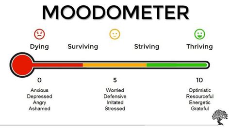Boost Emotional Intelligence with the Mood Meter | Heart-Mind Online