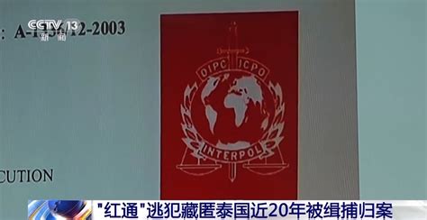 红色通缉令 中纪委网站公布女外逃人员通缉照片_海口网