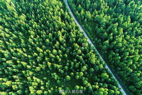 国际森林日，领略“中国最绿”省份之美_新华报业网