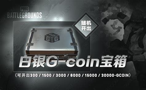 PUBG白银G-coin宝箱-PUBG绝地求生交易平台-9891游戏服务网