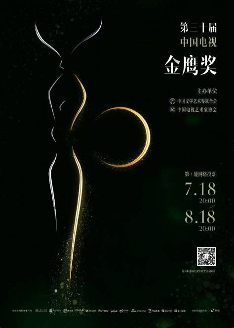 第17届中国电视金鹰奖图册_360百科