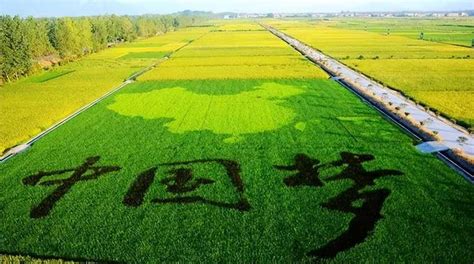 中国农业未来发展八大趋势-湖北大自然农业集团