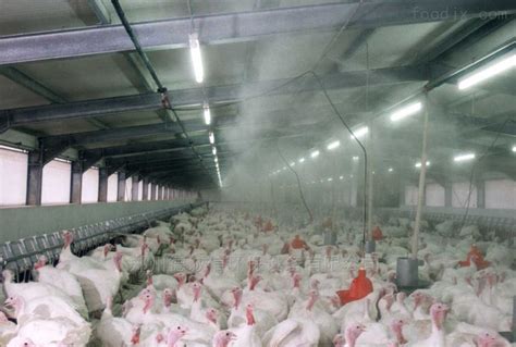 养殖场自动喷雾消毒设备作用价值-技术文章-郑州国润智慧科技有限公司