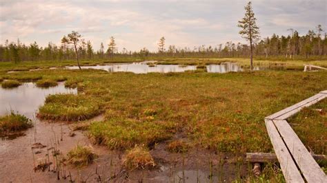 Suo hoitaa vesiämme – Suomen luonnonsuojeluliitto