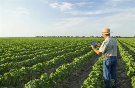 走在世界前列的现代农业新模式_智慧农业-农博士农先锋网