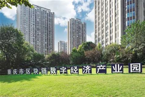 渝中：优化“五个环境” 打造一流营商环境_ 重庆市渝中区人民政府