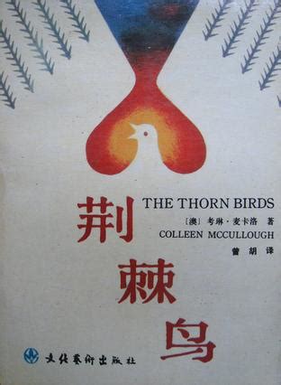 荆棘鸟：迷失的岁月 The Thorn Birds: The Missing Years(1996) - 时光网Mtime