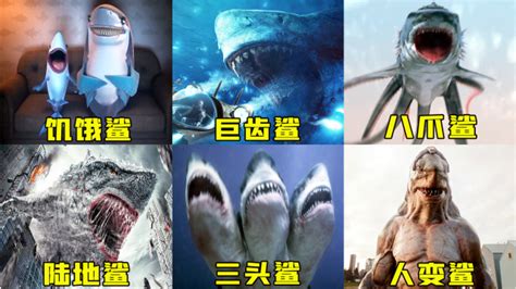 六版奇葩鲨鱼，搞笑饥饿鲨喜欢看电视，八爪鲨大战风神翼龙_腾讯视频