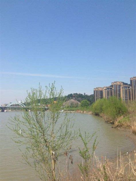 2023闵行滨江湿地公园游玩攻略,一边靠江，一边是大片草坪，...【去哪儿攻略】