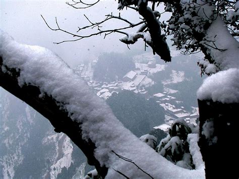 【西安第一场雪摄影图片】生态摄影_太平洋电脑网摄影部落