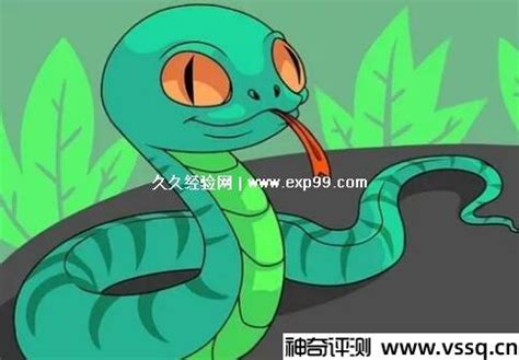 1-9数字蛇设计|插画|商业插画|TMXK杨白兔 - 原创作品 - 站酷 (ZCOOL)